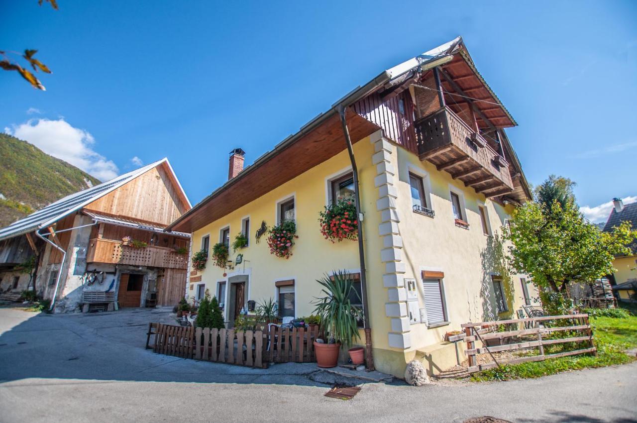 Hostel, Rooms And Apartment Ceklin Бохин Екстериор снимка